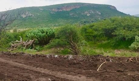Detienen a dos personas por desmontar un terreno forestal sin autorización federal en Querétaro