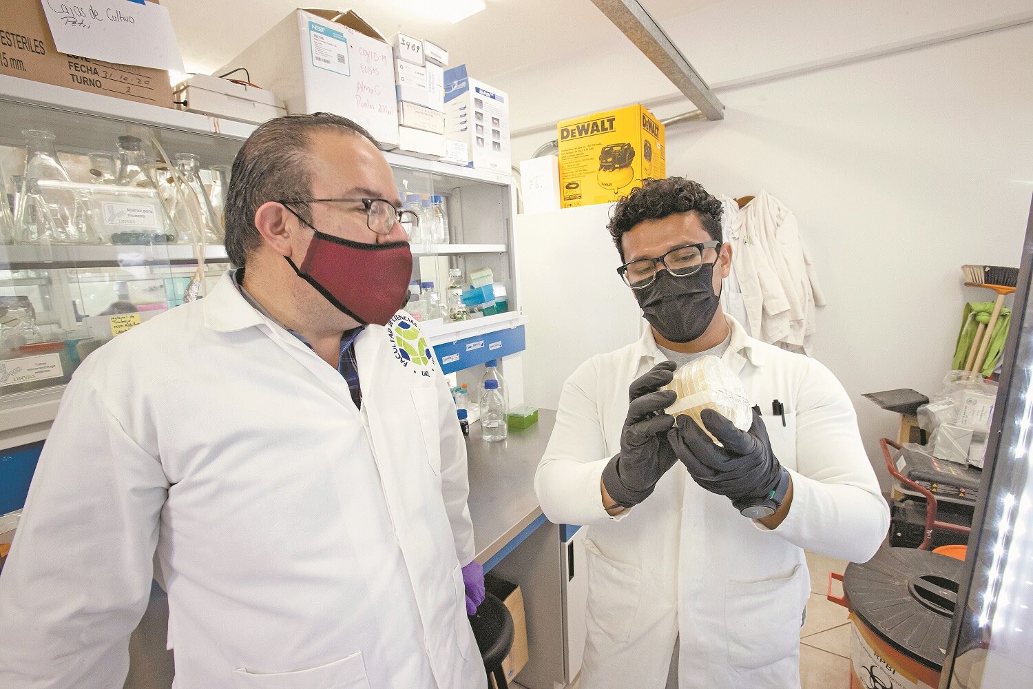 UAQ requiere 20 mdp para probar en humanos la vacuna mexicana contra el Covid-19