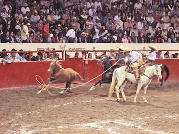 Categoría Plata con nuevo líder