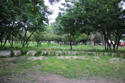 Procesan a una persona por delitos ambientales