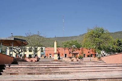 Impulsan sector forestal