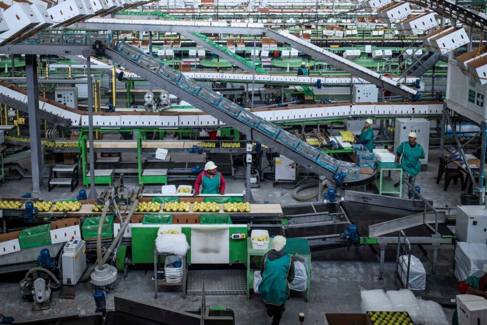 Foto: Archivo El Universal