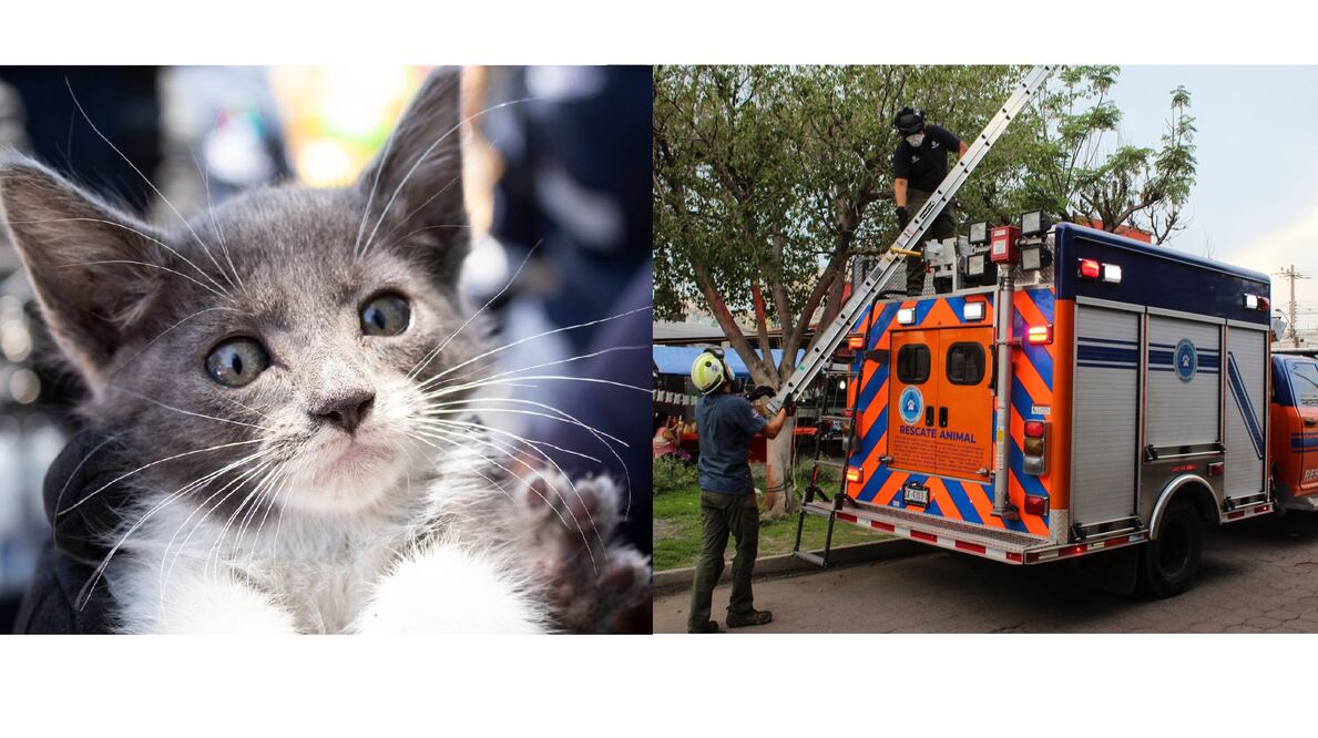 Foto: Servicios Públicos Municipales