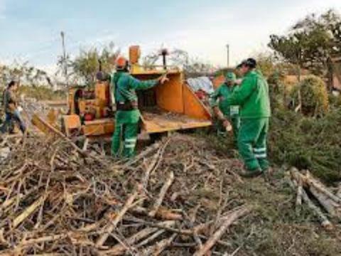 Sancionarán a Flecha Amarilla