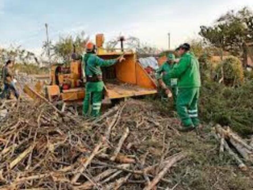 Sancionarán a Flecha Amarilla
