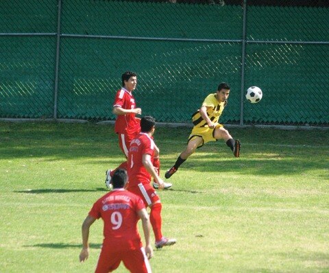 Finaliza la Liga Demócrata Bancaria 