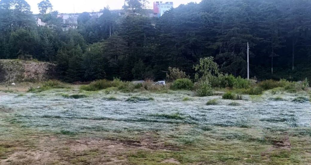 Se da caída de nieve en Pinal de Amoles
