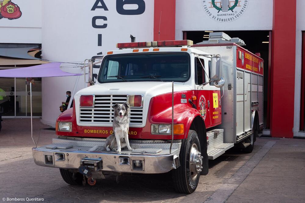 Foto: Facebook. Bomberos de Querétaro