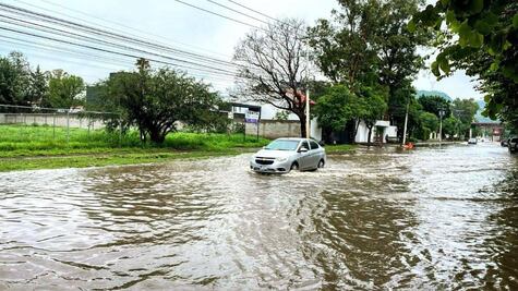 Lluvias en Querétaro dejan afectaciones en vialidades, árboles caídos y rescates