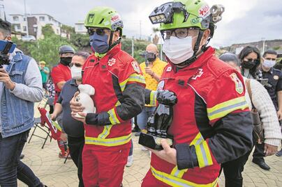A casi un año, Athos y Tango, los lomitos rescatistas, aún esperan justicia en Querétaro