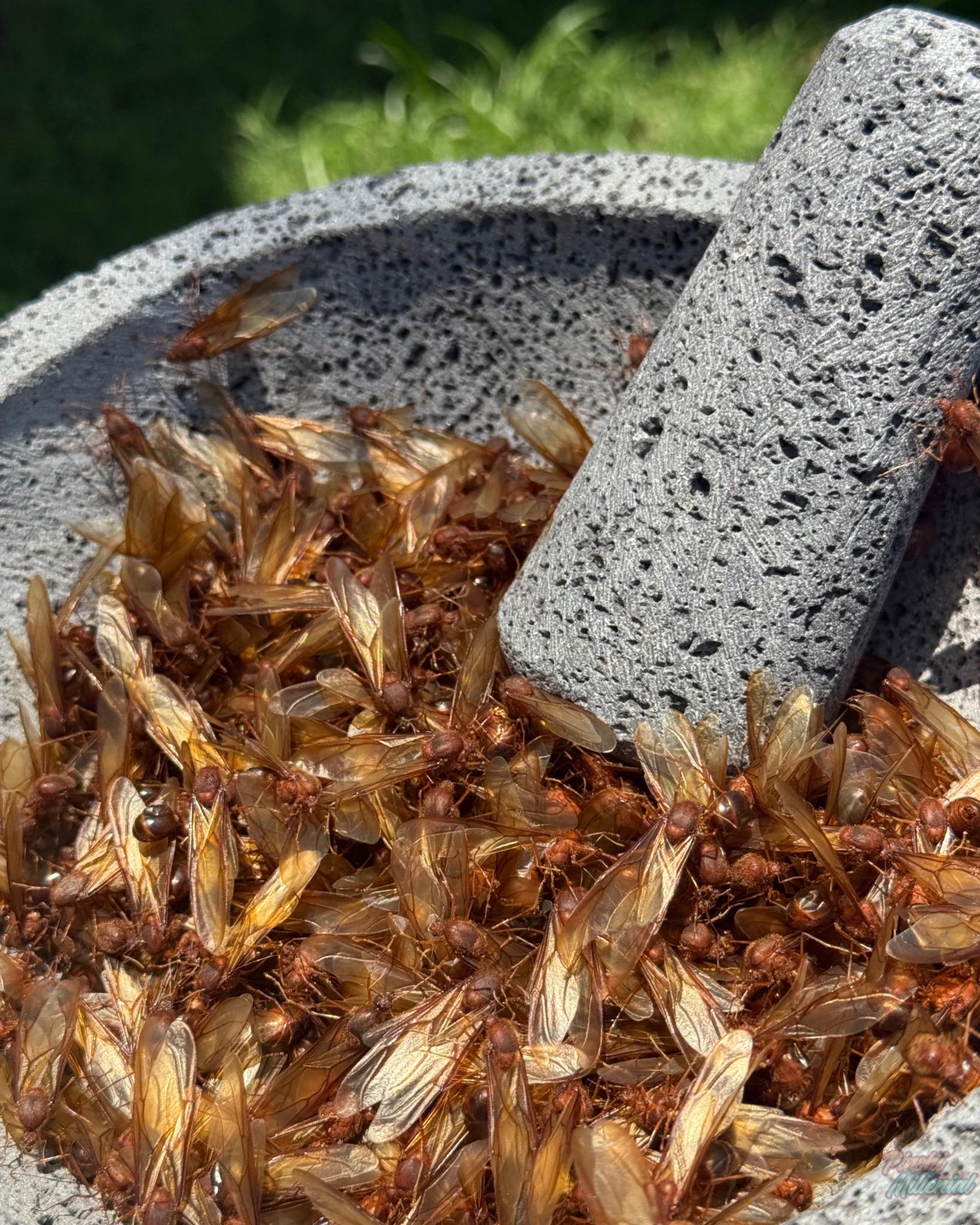 Foto: Pinshi Millennial.