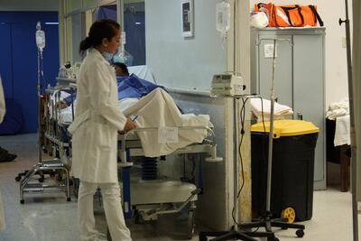 Enfermos de dengue, libres de Covid-19