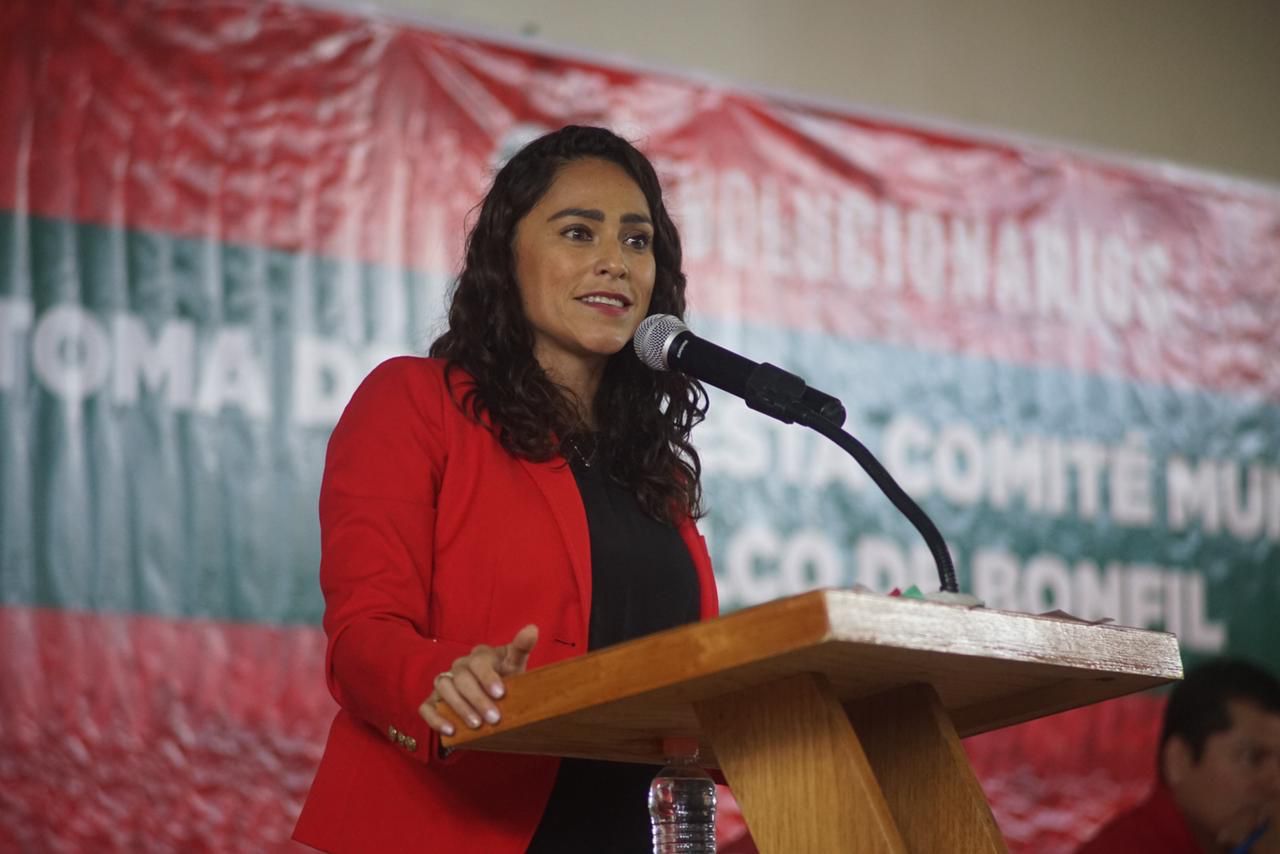 “Hay que perfeccionar instituto, no eliminarlo” 