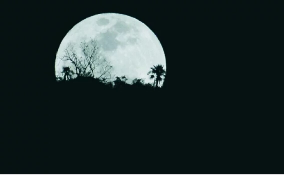 Foto: Archivo. El Universal