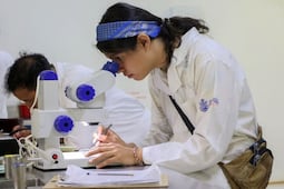 Destinará Concyteq 8 mdp a proyectos de investigación