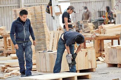 Aumentará producción de tarimas 