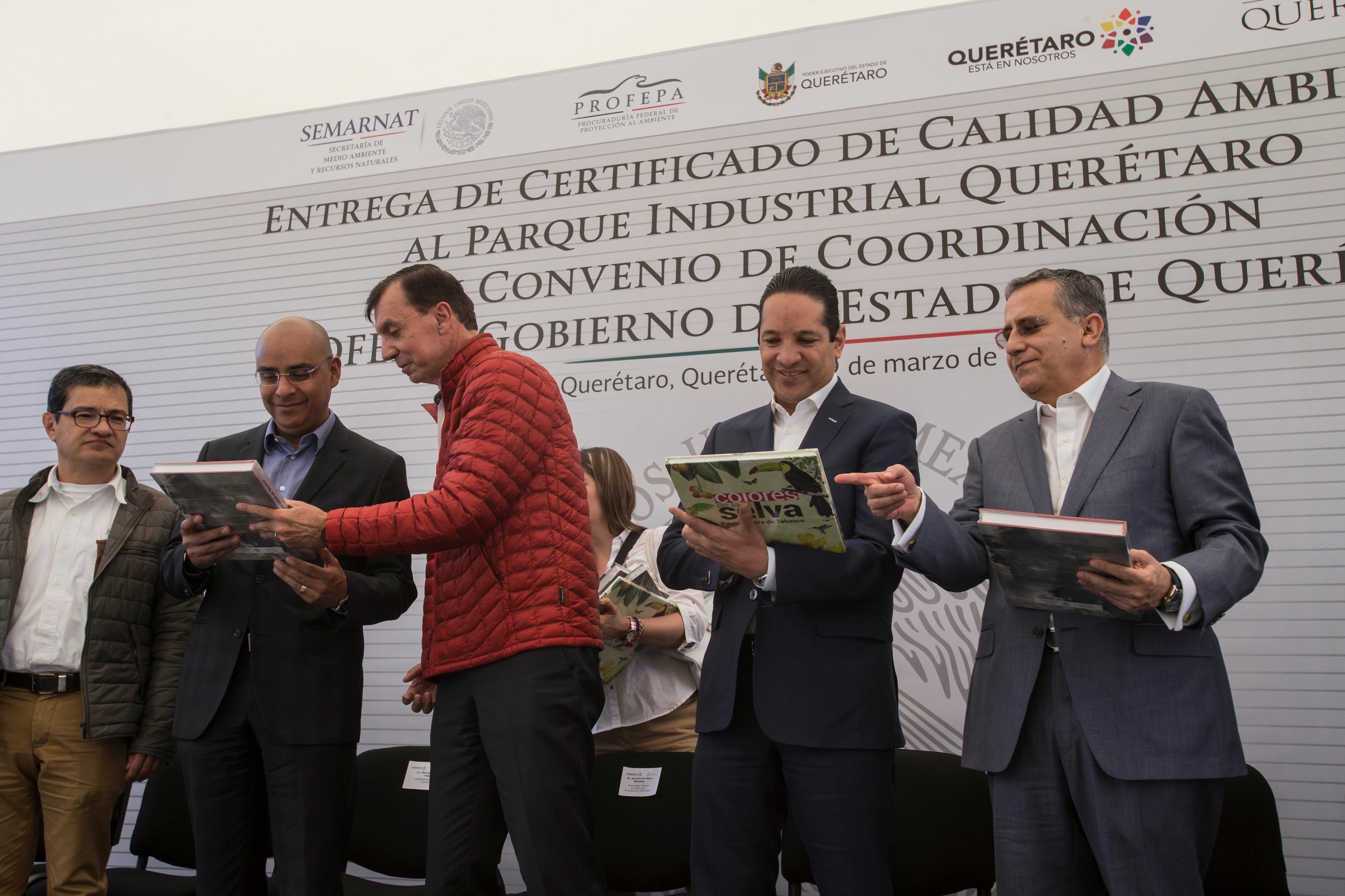 Retoman proyecto para proteger Peña Colorada