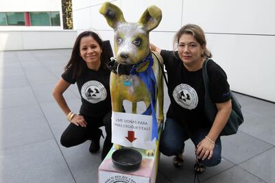 Buscan donativos para cuidar animales