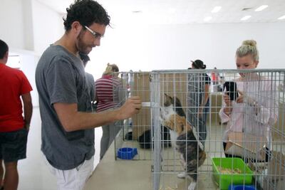 Adoptaron a 3,800 mascotas en 2019