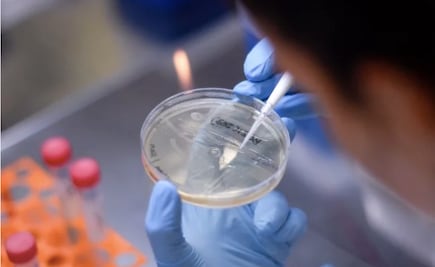 Probarán en humanos vacuna contra el coronavirus; estaría lista en el 2021