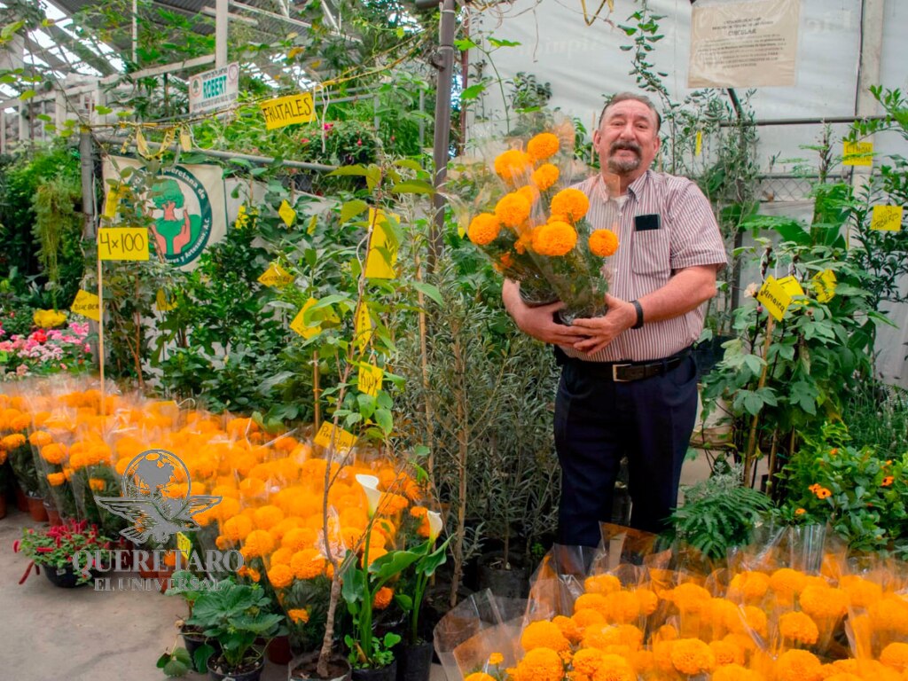 Mercado de las Flores de Querétaro, medio siglo de tradición