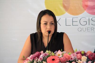 Se propone legislar con un diagnóstico