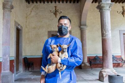 Promueven la esterilización de mascotas en Corregidora