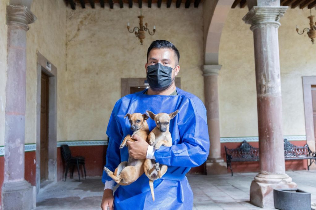 Promueven la esterilización de mascotas en Corregidora