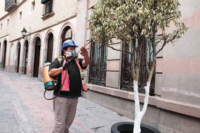 Alertan sobre el desarrollo de plagas