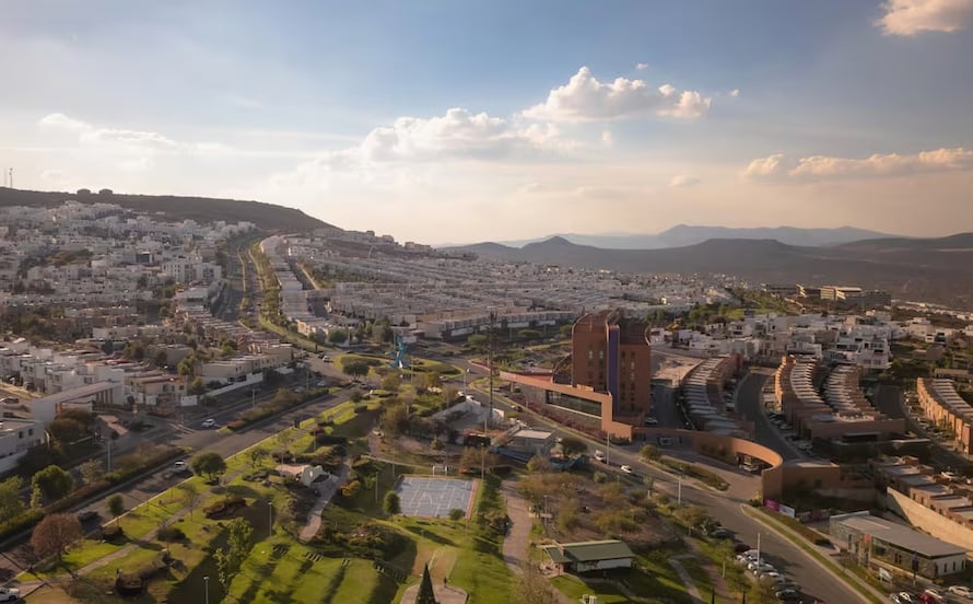 Advierten por pérdida de vegetación en ZMQ