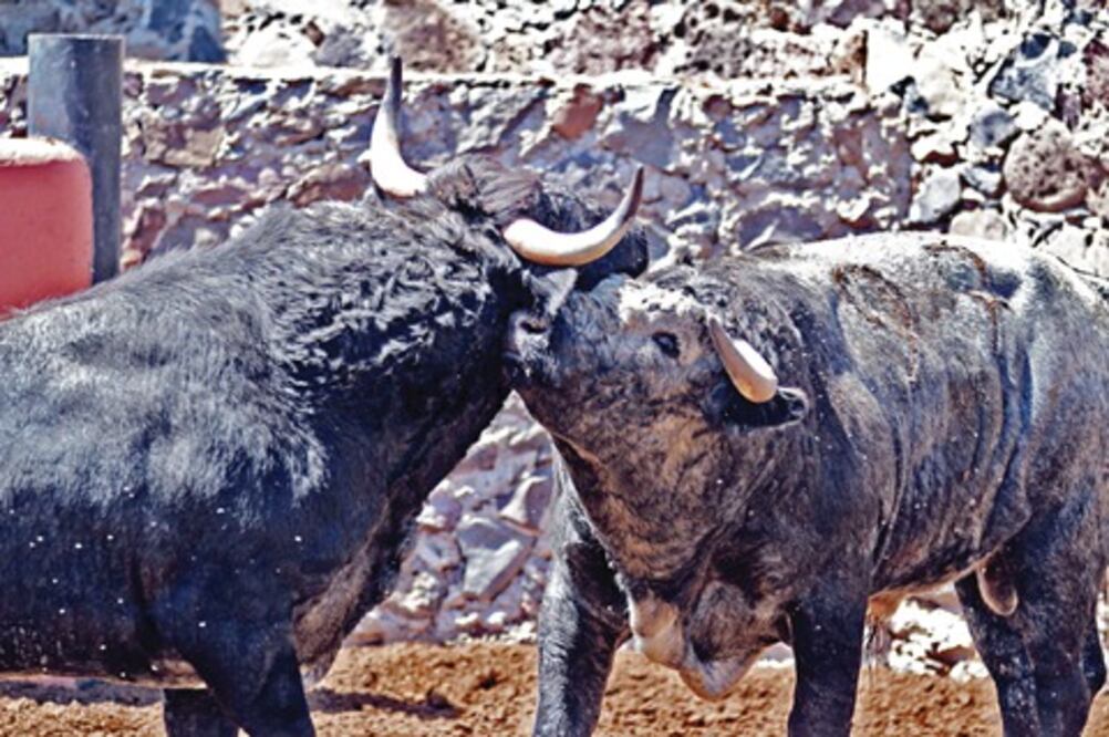 La fiesta brava se vivirá al máximo