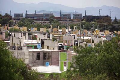 Por talar árboles multas de $ 200 mil