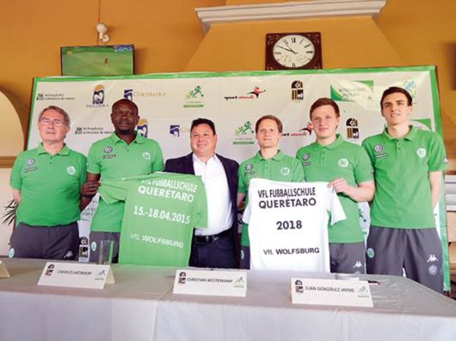 Visoria teutona en Balvanera