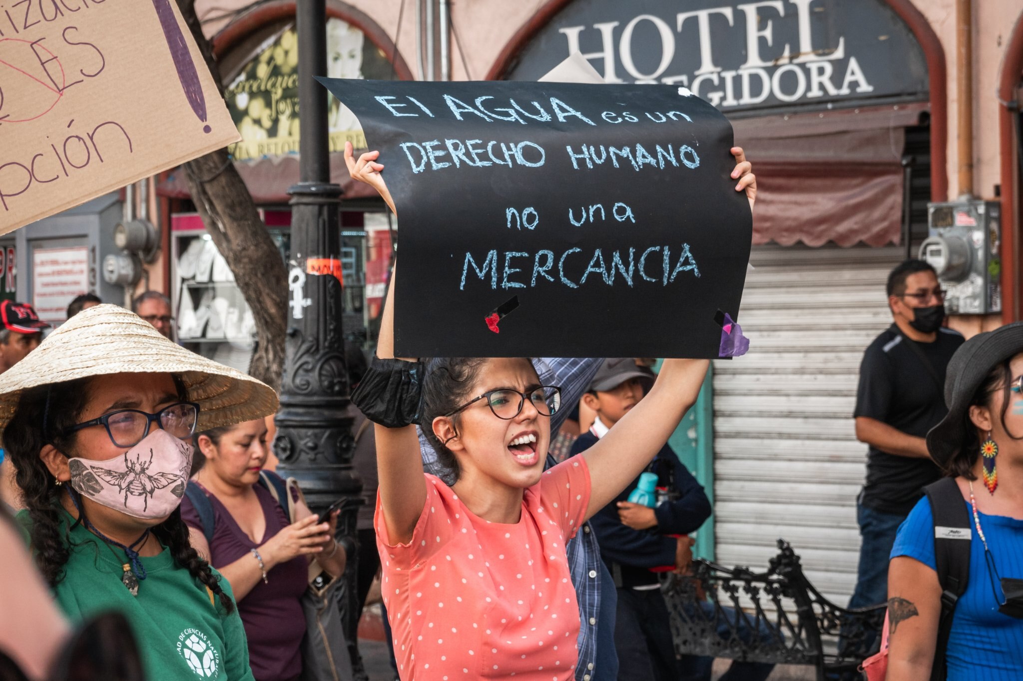 Opinión. Contra el abuso, la Constitución