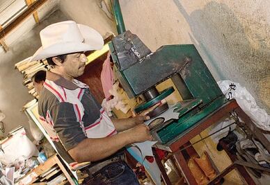 IP estima crecimiento de 6% para este año