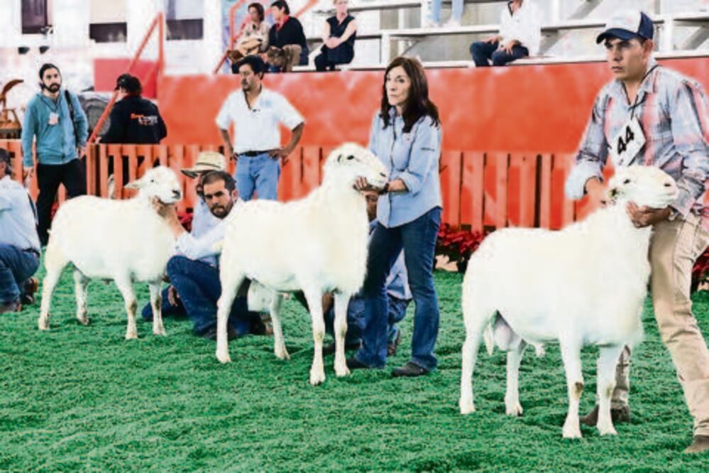 Destacan ranchos de UAQ por su calidad en ganado