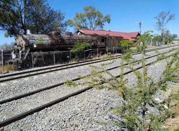 Mujer se toma selfie y la golpea el tren; sucedió Tequisquiapan