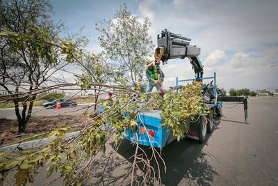En revisión, cinco carpetas de cambios de uso de suelo