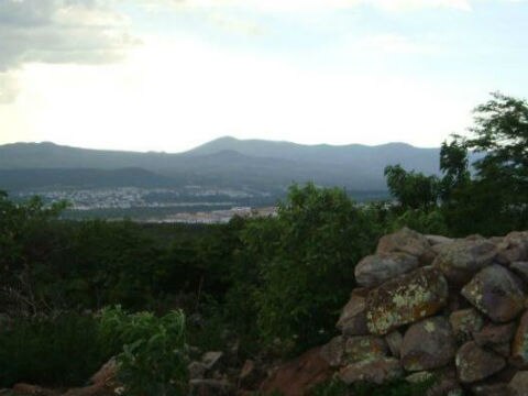 A la baja cambios de uso de suelo