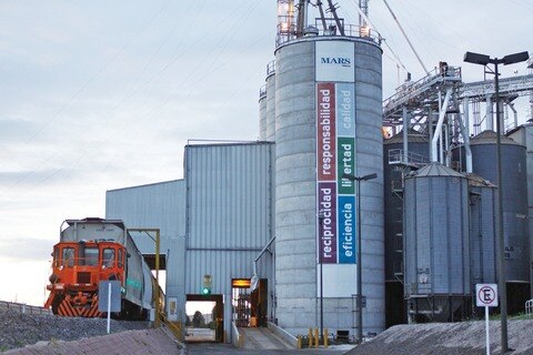 Ambiente laboral de “bienestar”