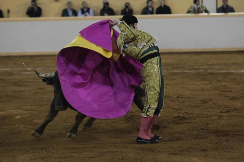 Foto: Demian Chávez