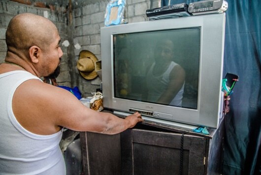 Cambian tv análogas por árboles