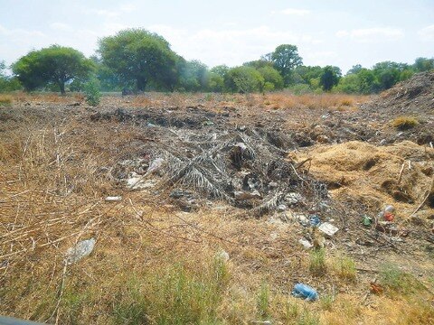 Alertan en SJR por desechos animales