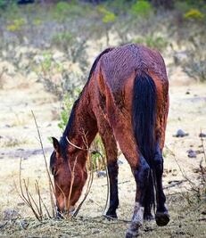 A la espera del apoyo de las autoridades
