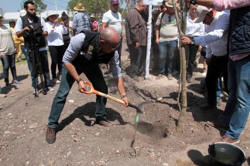 El alcalde de Querétaro, Marcos Aguilar, desmintió que el municipio haya permitido la tala de los árboles en Constituyentes para construir infraestructura para el sistema de transporte. (RICARDO LUGO. EL UNIVERSAL)