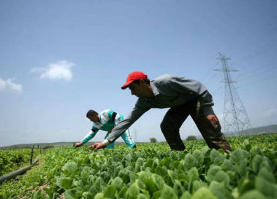 Estiman crecimiento del 0.5 %, Sedea