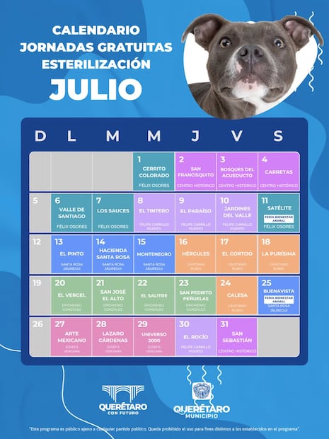 Calendario de jornadas gratuitas de esterilización en el municipio de Querétaro durante julio. Foto: Facebook Lennyz Meléndez Chacón