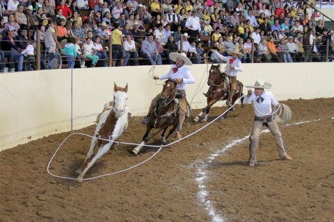 En El Pitayo, la primera Copa Charra Nocturna