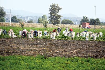 Congreso  va por 20 mdp para apoyar a 130 productores 