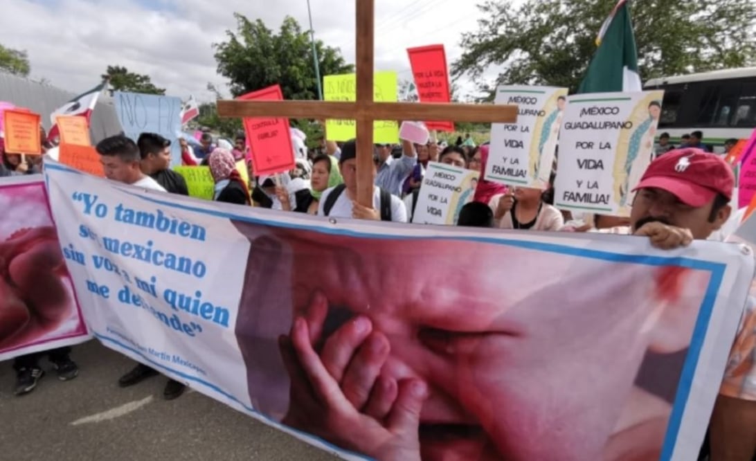 El desarrollo de la corteza cerebral es fundamental en el debate de la Interrupción Legal del Embarazo (ILE)